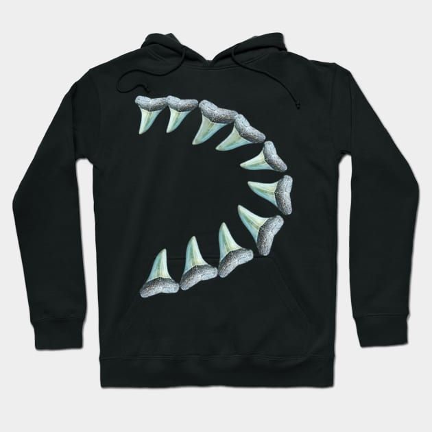 Sharp Shark Teeth Hoodie by AtlanticFossils